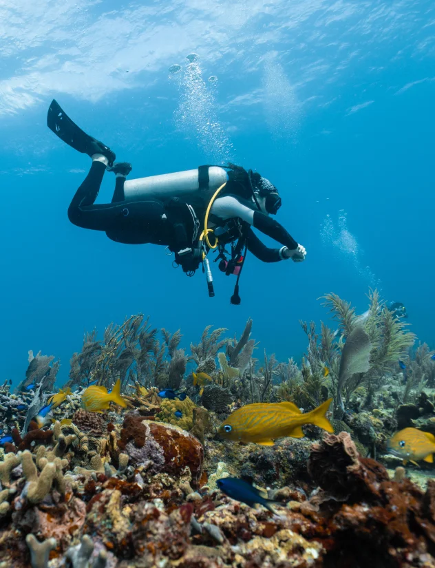 Exploring Raja Ampat hidden caves and lagoons during a liveaboard trip